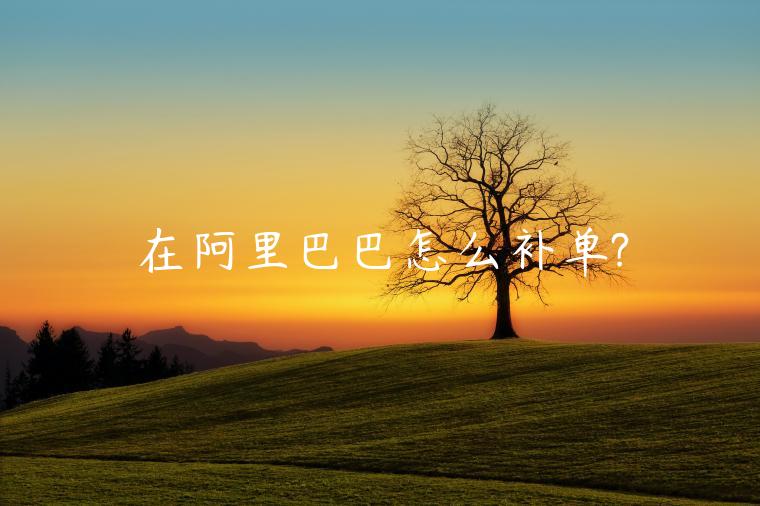 在阿里巴巴怎么補(bǔ)單?